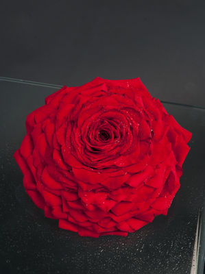 brud_10_bukett_DSC0259